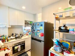 A Treasure Trove (D19), Condominium #542876491